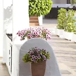 Ona Beverly Hills Aparthotel Los Cristianos (Tenerife)